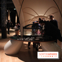 Mille milliards de fourmis au Palais de la Découverte