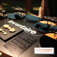 Mille milliards de fourmis au Palais de la Découverte