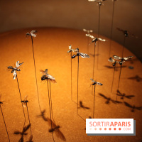 Mille milliards de fourmis au Palais de la Découverte