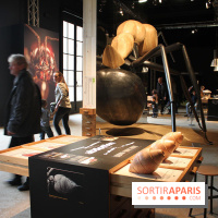 Mille milliards de fourmis au Palais de la Découverte