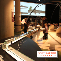 Mille milliards de fourmis au Palais de la Découverte