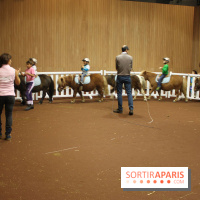Kidexpo 2013, Poney