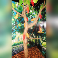 Le Musée Gourmand du Chocolat, Choco-Story, Musée