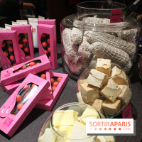 Salon du chocolat 2013