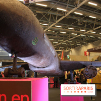 Salon du chocolat 2013: Avion en chocolat
