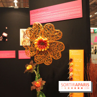 Salon du Chocolat : Exposition tendance confiseries