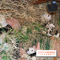 Marché de Noël des Champs-Elysées 2013