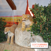 Marché de Noël des Champs-Elysées 2013