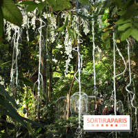 Noces Végétale au Jardin des Plantes : portique de dentelle