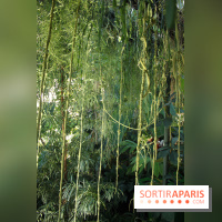 Noces Végétales au Jardin des Plantes : la traversée végétale