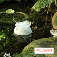 Noces Végétales au Jardin des Plantes