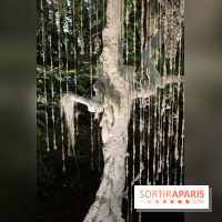 Noces Végétales au Jardin des Plantes : la mariée