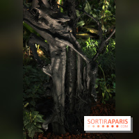 Noces Végétales au Jardin des Plantes : le marié