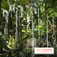 Noces Végétales au Jardin des Plantes
