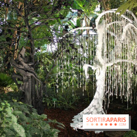 Noces Végétales au Jardin des Plantes