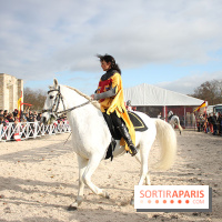 Les Enchanteurs de Noël au Château de Vincennes