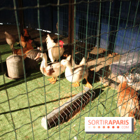 Les Enchanteurs de Noël au Château de Vincennes