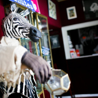 Le Zèbre de Belleville