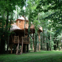 Les cabanes dans les arbles du Moulin