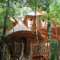 Les cabanes dans les arbres du Moulin