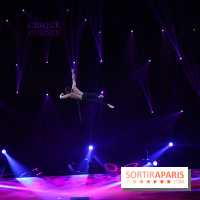 Le Festival du Cirque de Demain 2014