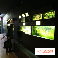 Aquarium de la Porte Dorée à Paris