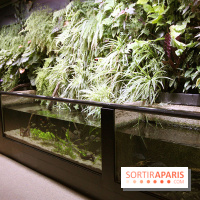 Aquarium de la Porte Dorée à Paris