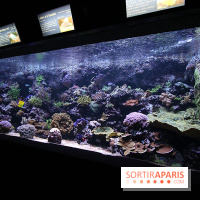 Aquarium de la Porte Dorée à Paris