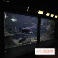 Aquarium de la Porte Dorée à Paris