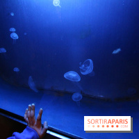 Aquarium de la Porte Dorée à Paris