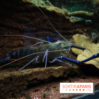 Aquarium de la Porte Dorée à Paris