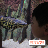 Aquarium de la Porte Dorée à Paris