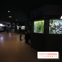 Aquarium de la Porte Dorée à Paris