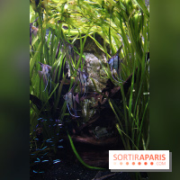 Aquarium de la Porte Dorée à Paris