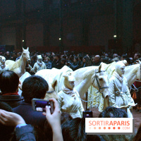 Nuit de Chine au Grand Palais