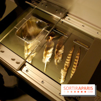 Exposition Nuit au Muséum Natinaol d'Histoire Naturelle