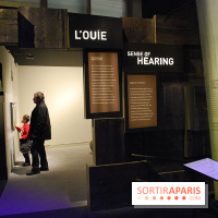 Exposition Nuit au Muséum Natinaol d'Histoire Naturelle