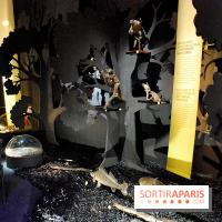 Exposition Nuit au Muséum Natinaol d'Histoire Naturelle