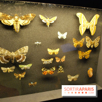 Exposition Nuit au Muséum Natinaol d'Histoire Naturelle