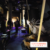 Exposition Nuit au Muséum Natinaol d'Histoire Naturelle