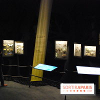 Exposition Nuit au Muséum Natinaol d'Histoire Naturelle