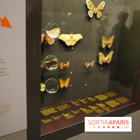 Exposition Nuit au Muséum Natinaol d'Histoire Naturelle