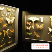 Exposition Nuit au Muséum Natinaol d'Histoire Naturelle