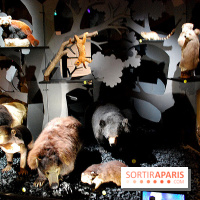 Exposition Nuit au Muséum Natinaol d'Histoire Naturelle