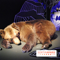 Exposition Nuit au Muséum Natinaol d'Histoire Naturelle