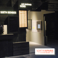 Exposition Nuit au Muséum Natinaol d'Histoire Naturelle