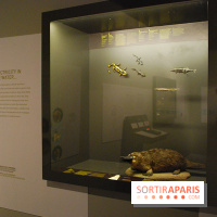 Exposition Nuit au Muséum Natinaol d'Histoire Naturelle