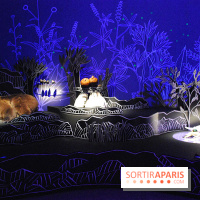 Exposition Nuit au Muséum Natinaol d'Histoire Naturelle