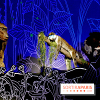 Exposition Nuit au Muséum Natinaol d'Histoire Naturelle