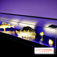 Exposition Nuit au Muséum Natinaol d'Histoire Naturelle